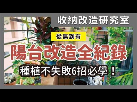 西曬陽台樹木|【陽台植栽】15 種陽台植栽推薦｜新手也能輕鬆養出 